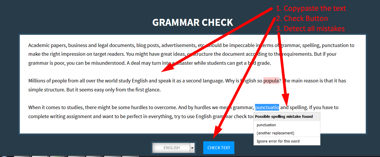 how to check your essay for grammar